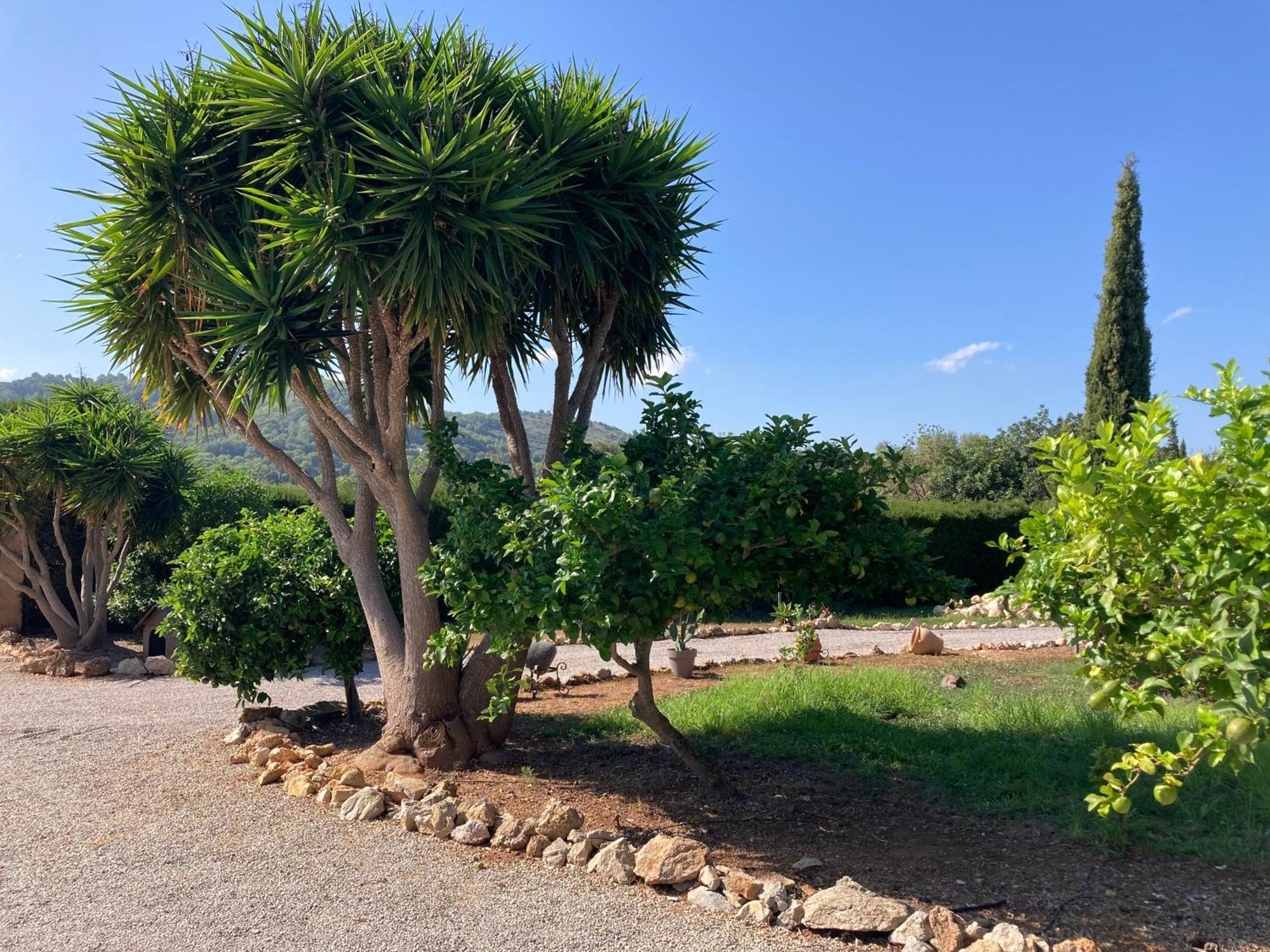 Casa Eden With Private Pool Villa Artá Buitenkant foto